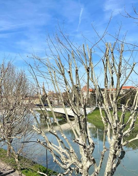 Apartamento Kiki House Lungarno Florencia